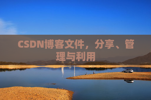 CSDN博客文件，分享、管理与利用